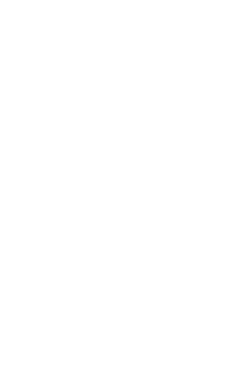 The Bid Nest support owl