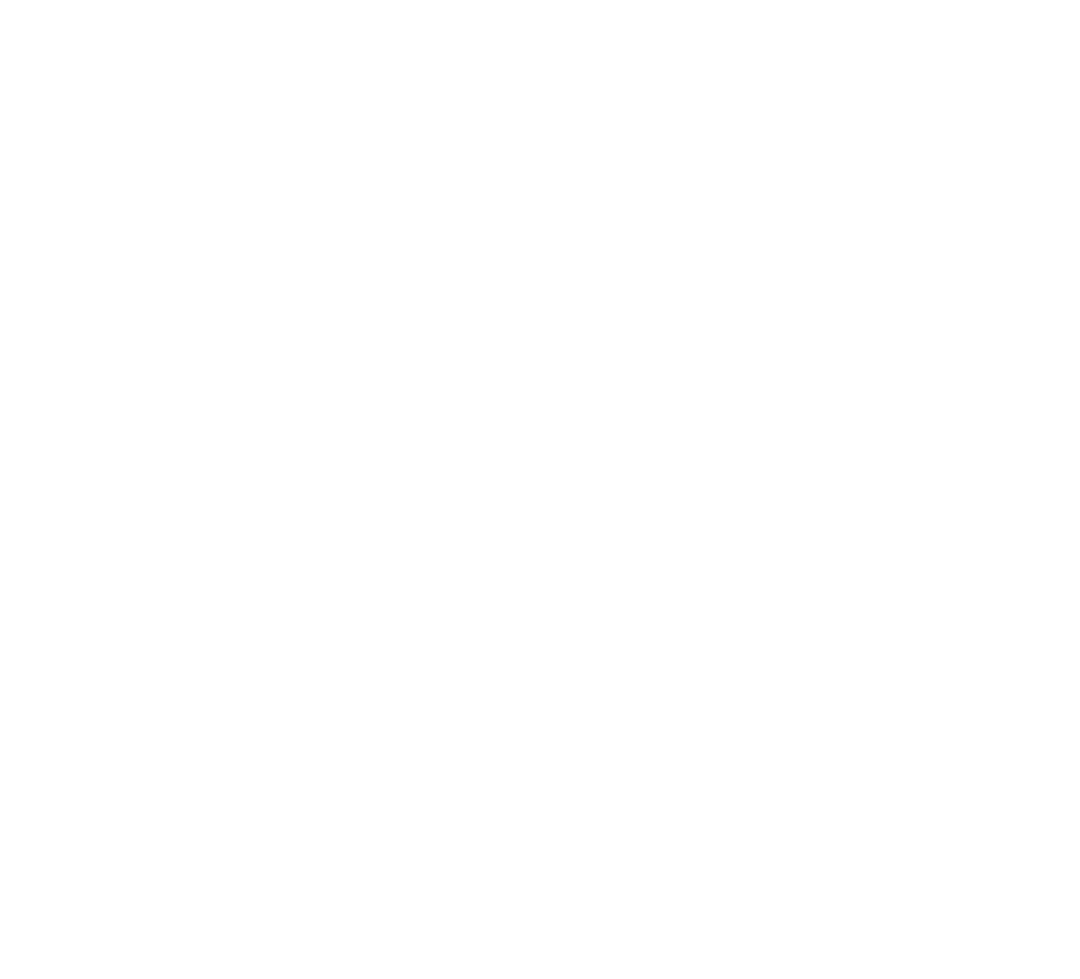 The Bid Nest owl logo